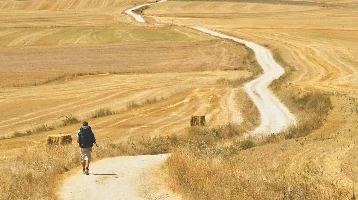 Facile scegliere una Strategia, difficile Sposare il processo.